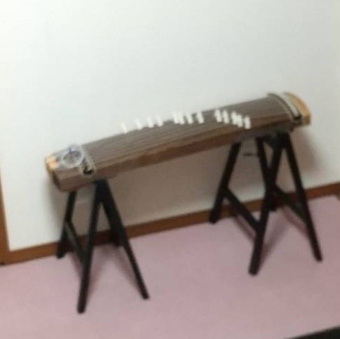 箏の写真